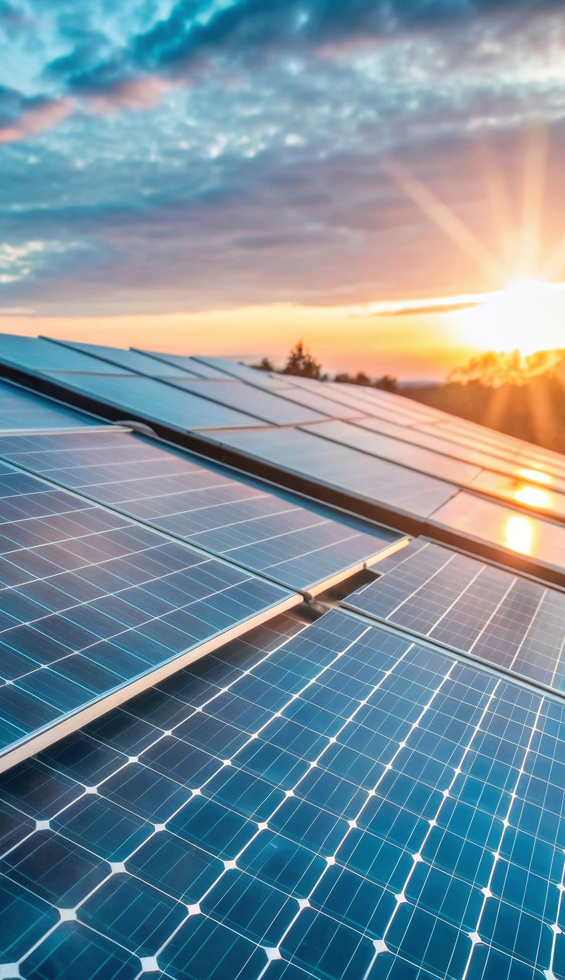 グループの歩み