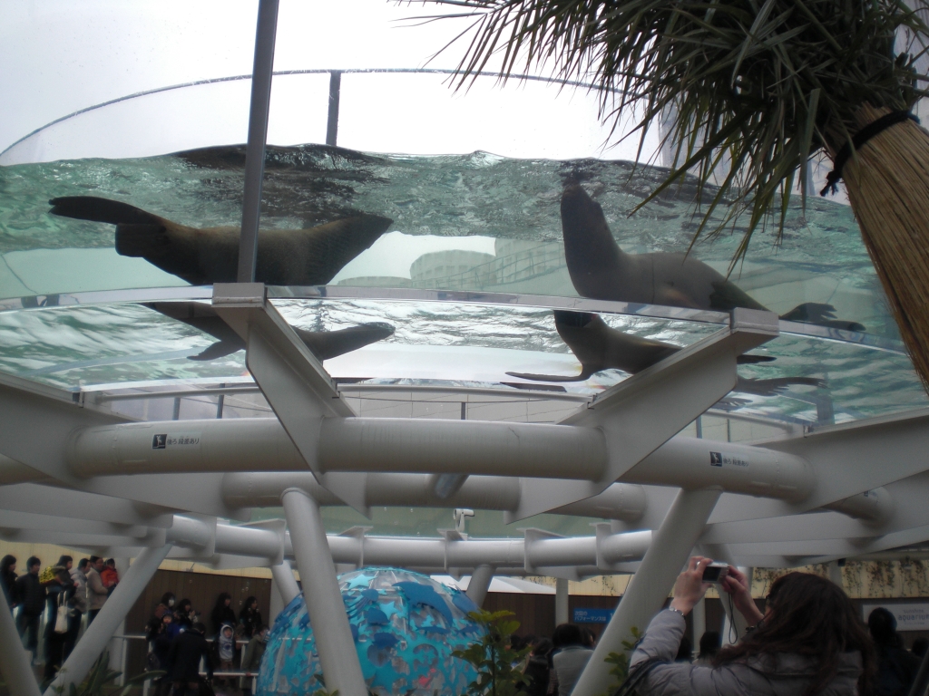 サンシャイン水族館|北陸建工グループ
